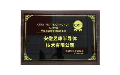 Exemplary organization in safety management